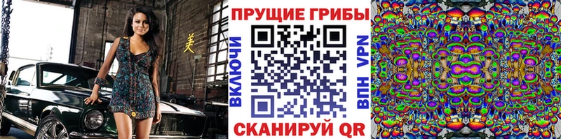 кракен вход  Балей  Галлюциногенные грибы Magic Shrooms 